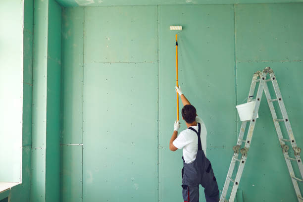 Best Basement Mold Removal  in Bayside, WI