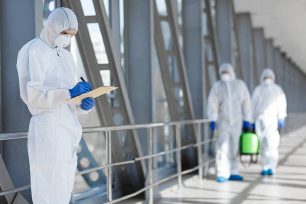 Best Emergency Mold Remediation  in Bayside, WI