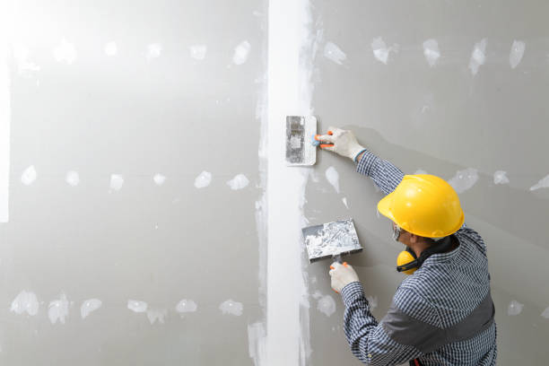 Best Environmental Consulting for Mold Prevention  in Bayside, WI