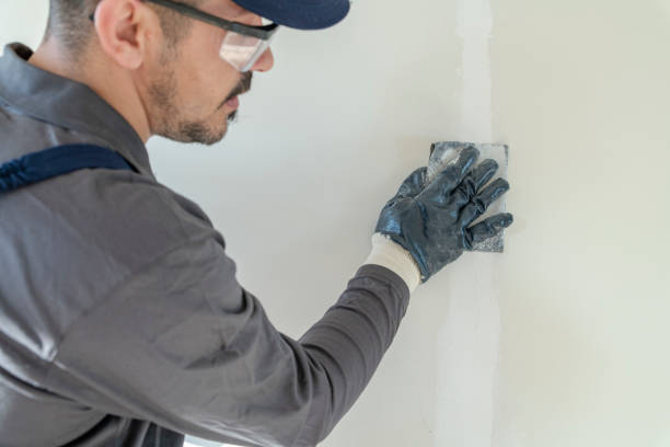 Best Comprehensive Air Testing for Mold Contaminants  in Bayside, WI